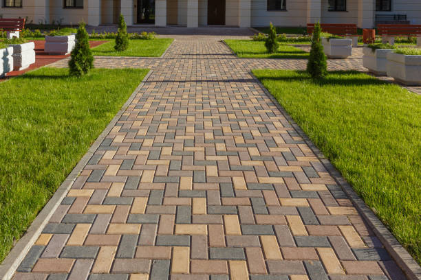 Best Local Driveway Pavers  in Brookridge, FL